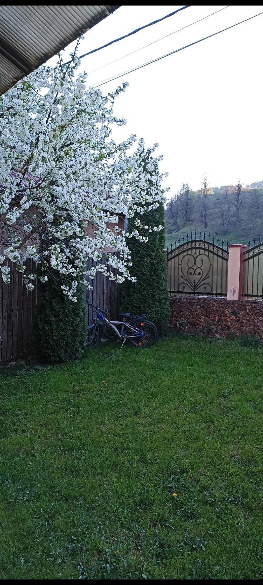 Popasul Drumetului Transfagarasan Hotell Curtea de Argeş Exteriör bild