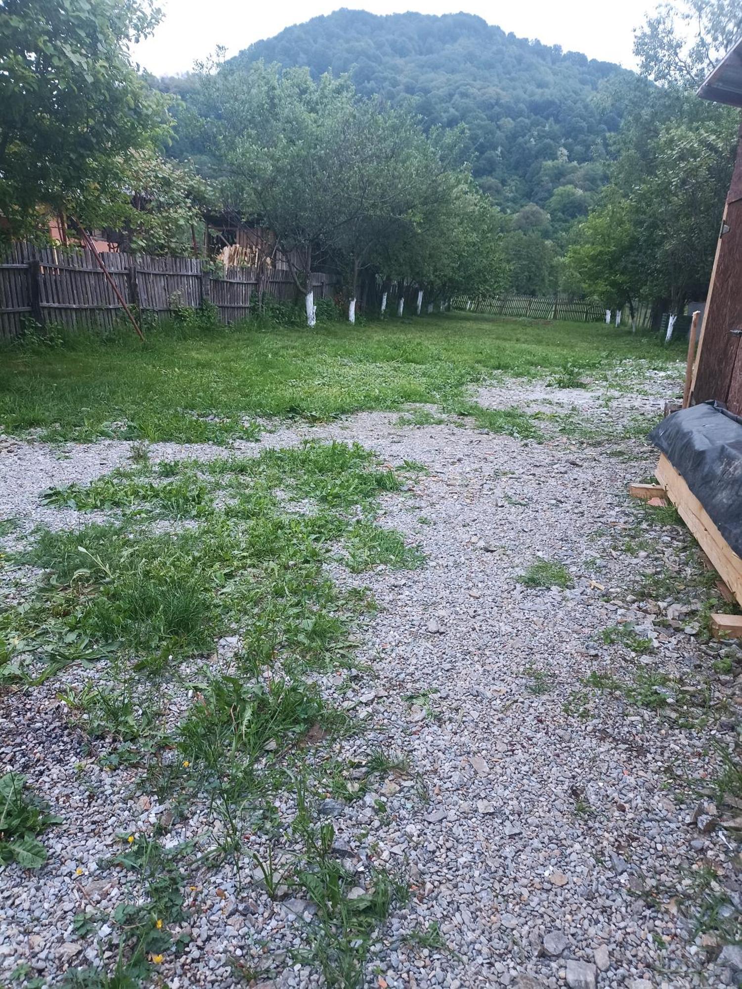 Popasul Drumetului Transfagarasan Hotell Curtea de Argeş Exteriör bild